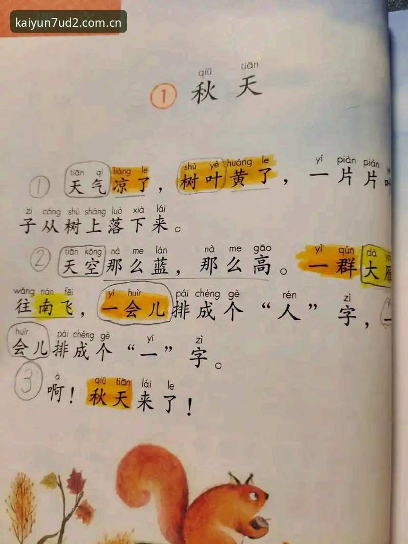 官方新表达拼音版下载手机版 vs 网页版：选择困难者的实战对比指南